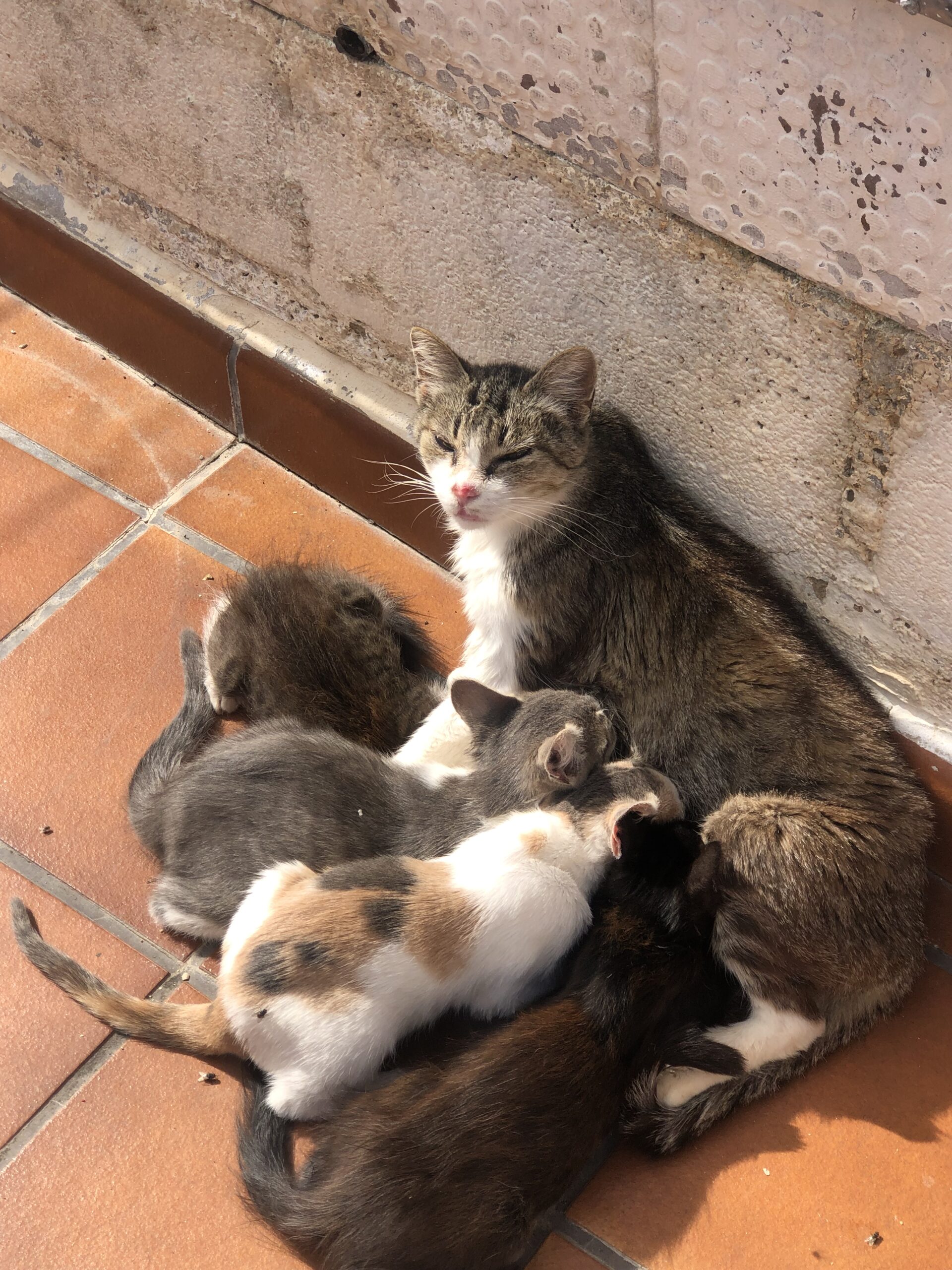 Foto del peque