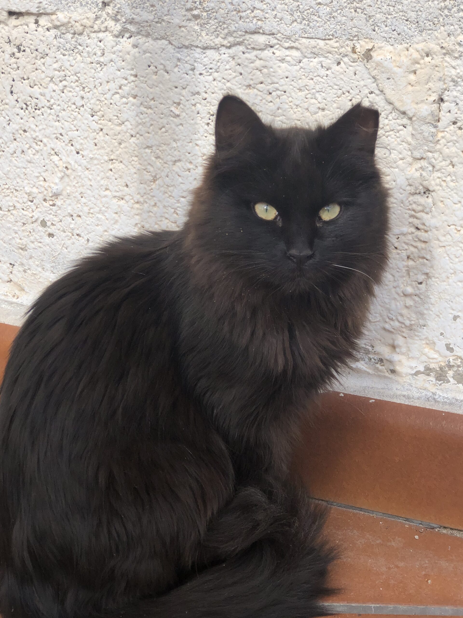 Foto del peque