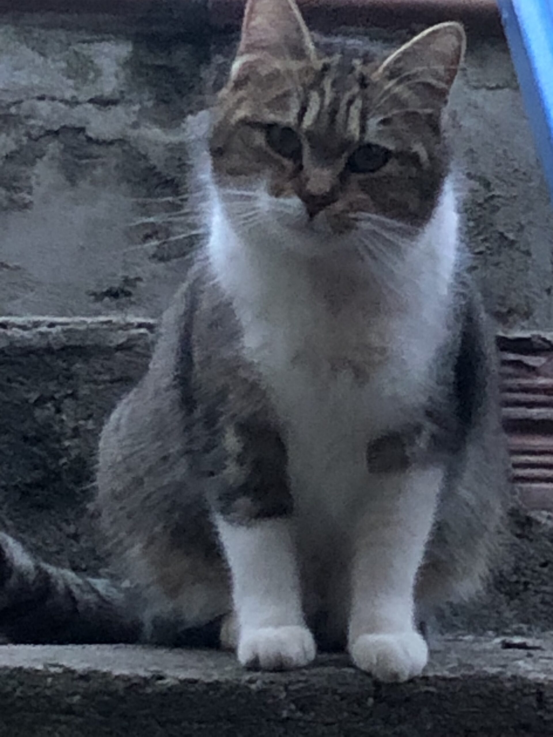 Foto del peque