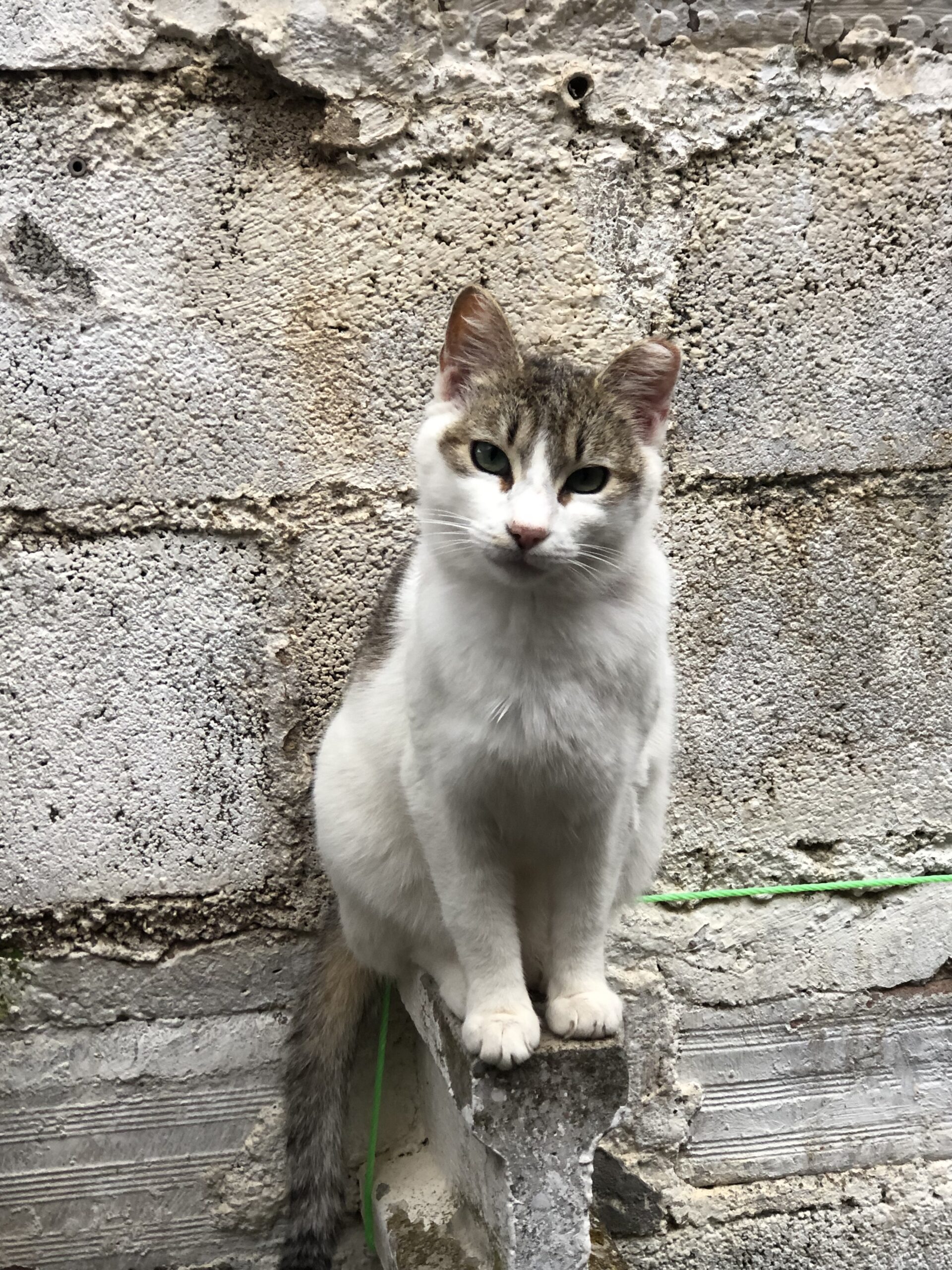 Foto del peque