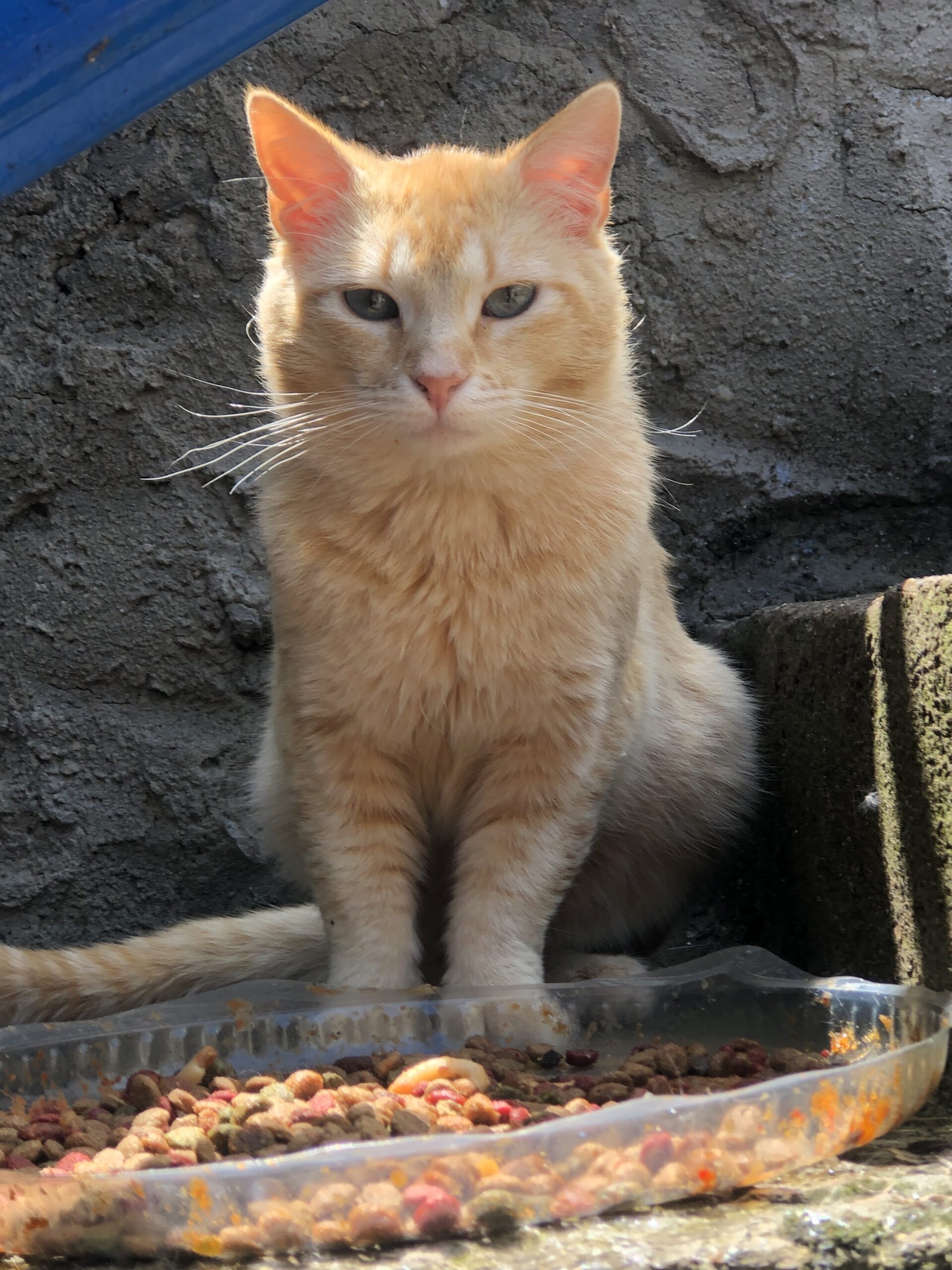 Foto del peque