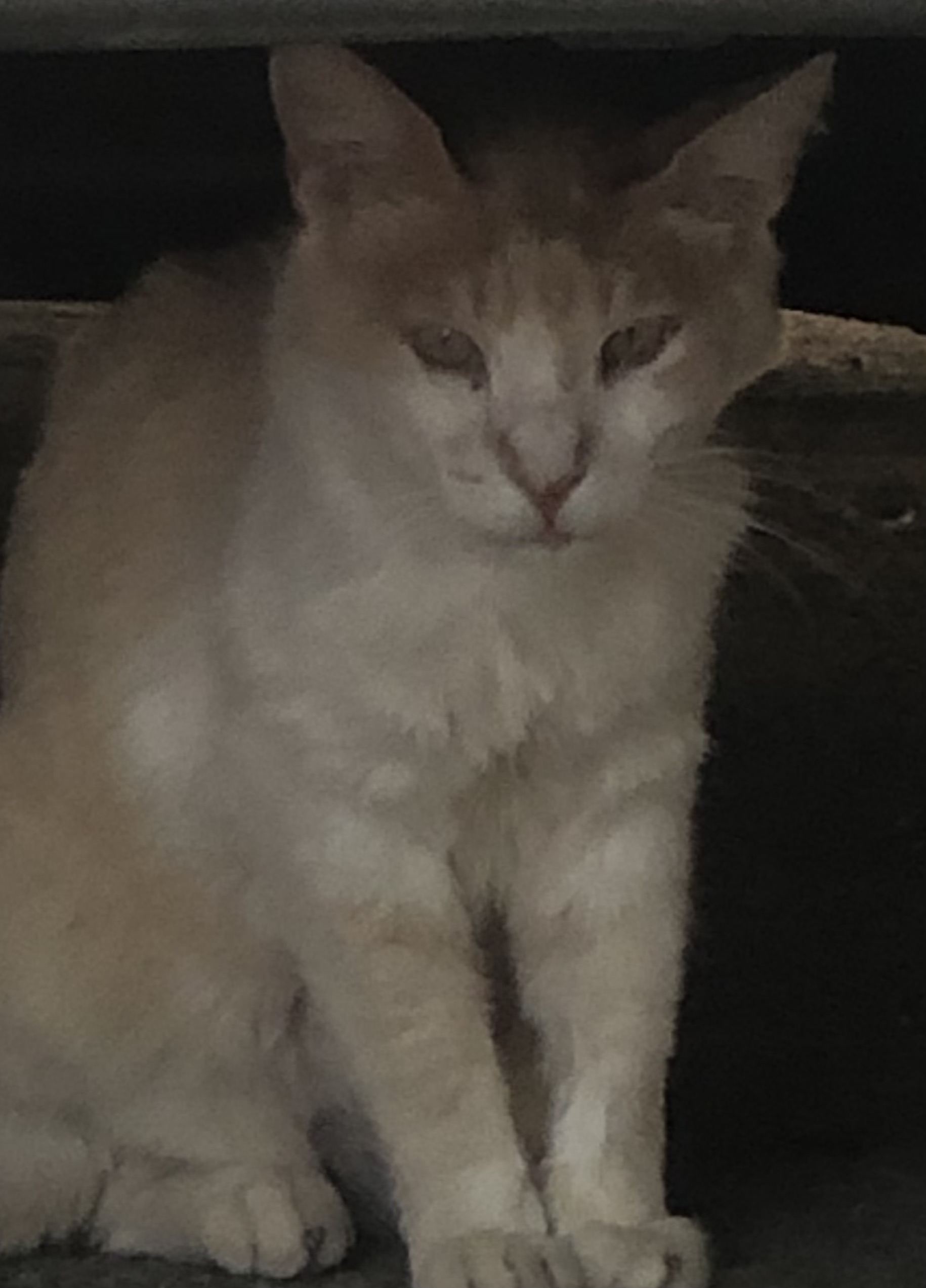 Foto del peque