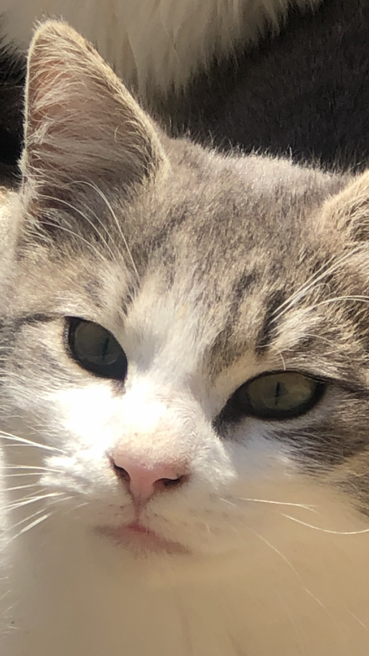 Foto del peque