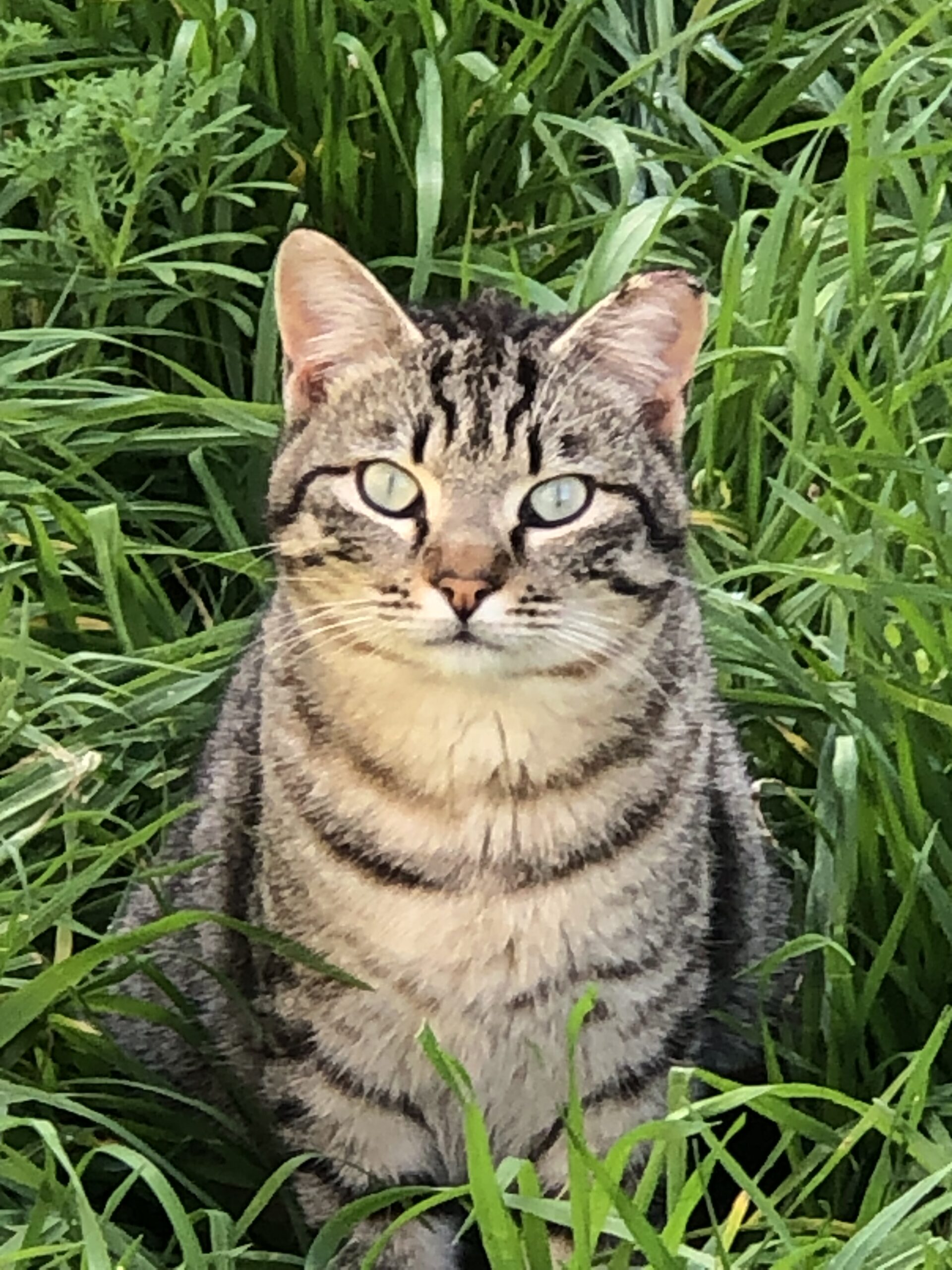 Foto del peque