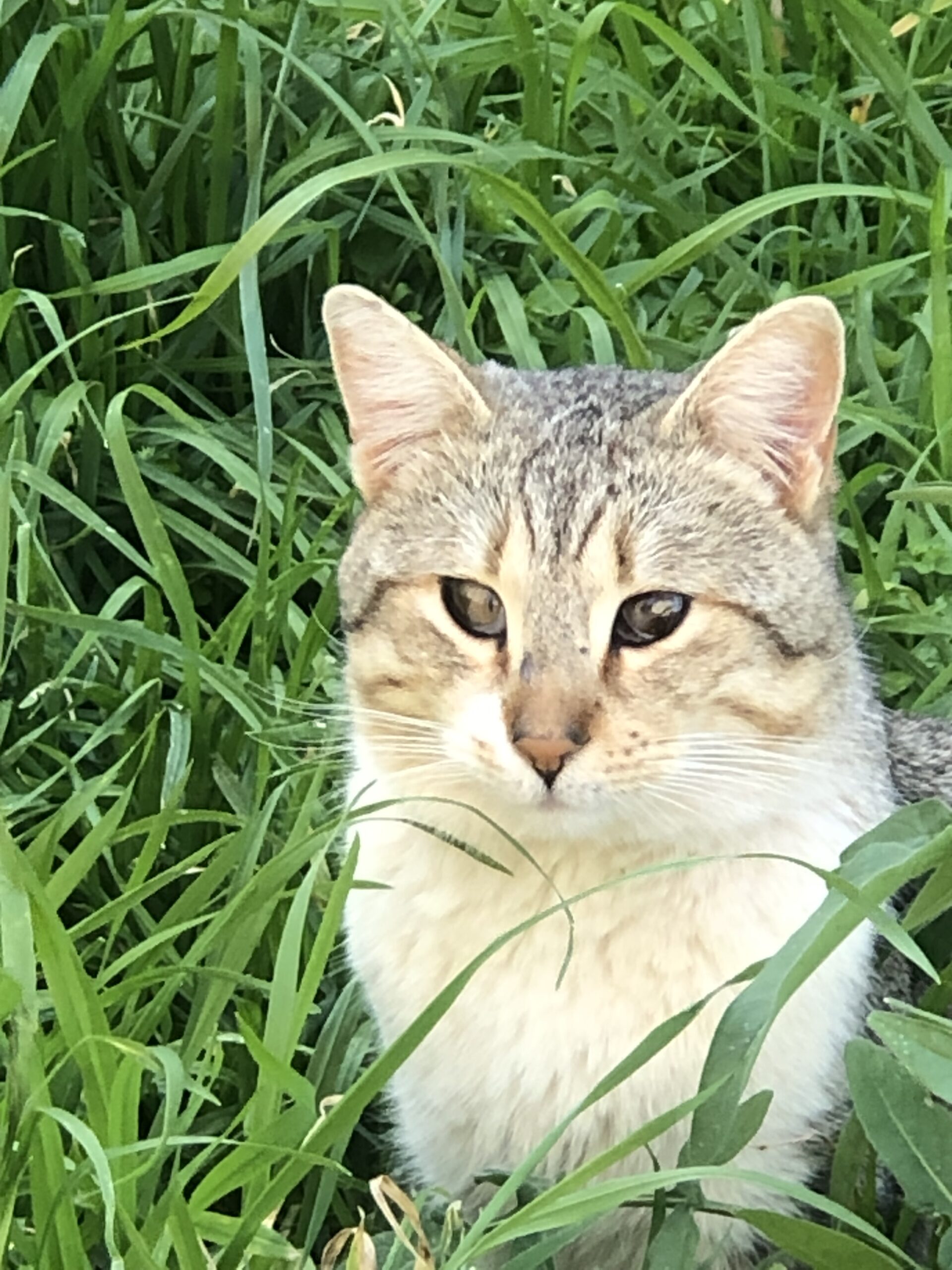 Foto del peque